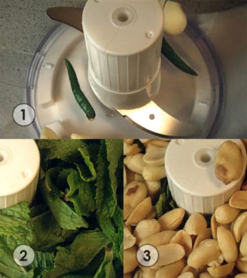 Mint, peanuts, garlic and chili peppers in food processor. | secretsofcooking.com