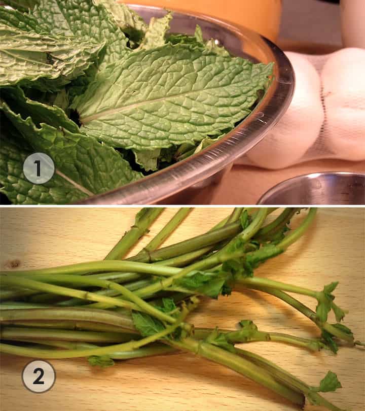 mint leaves removed from stems. | secretsofcooking.com