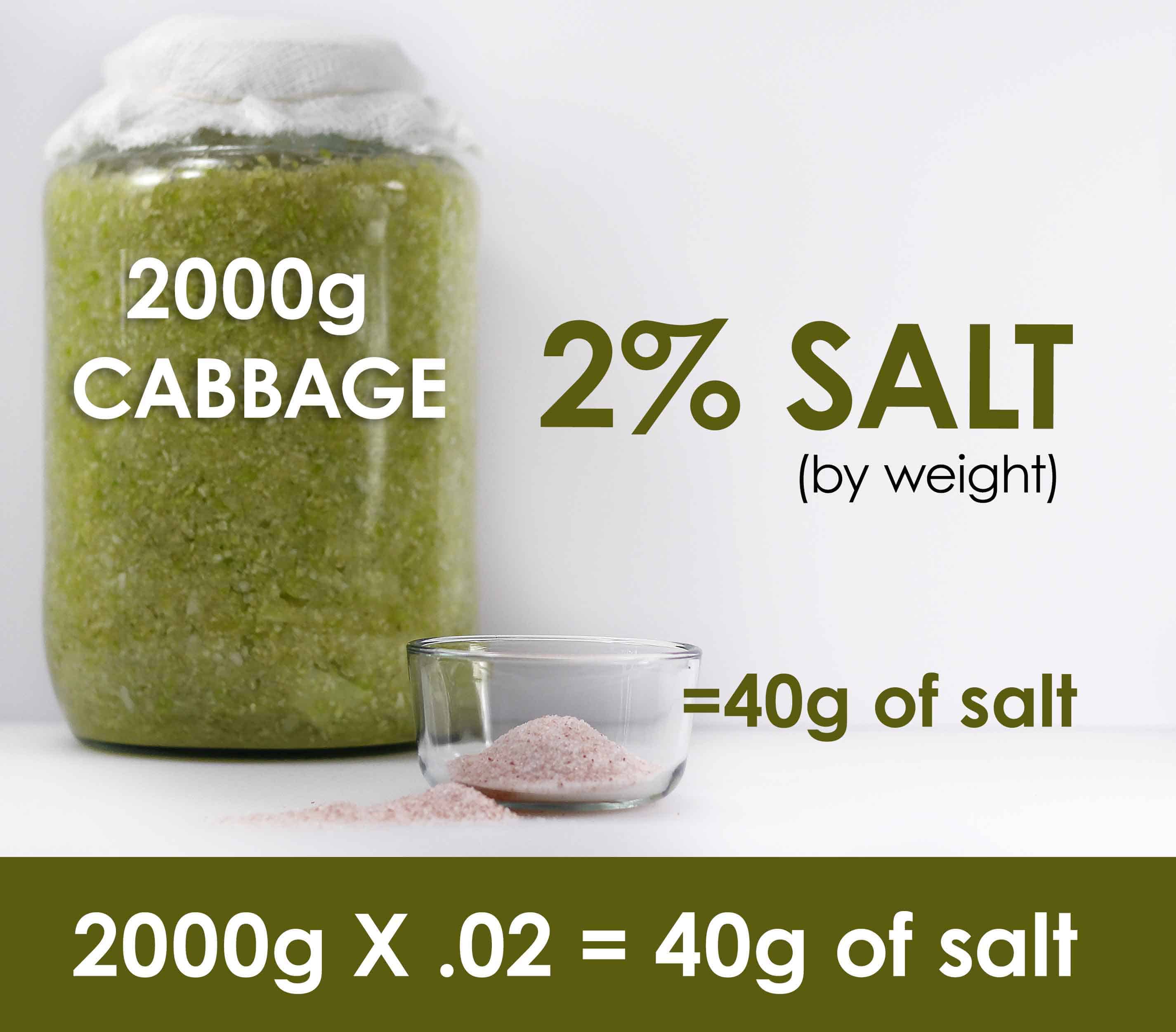 jar of sauerkraut next to dish of Pink Himalayan Salt. Text reads 2000g cabbage times 2% salt by weight = 40g salt